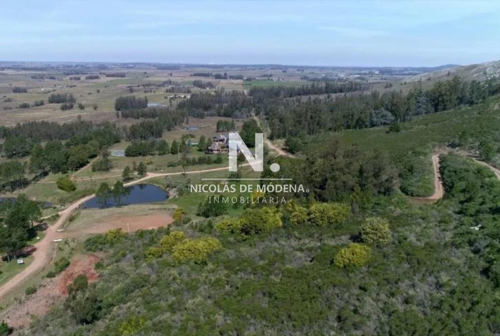 Chacra a la Venta de 10 hectareas en Punta