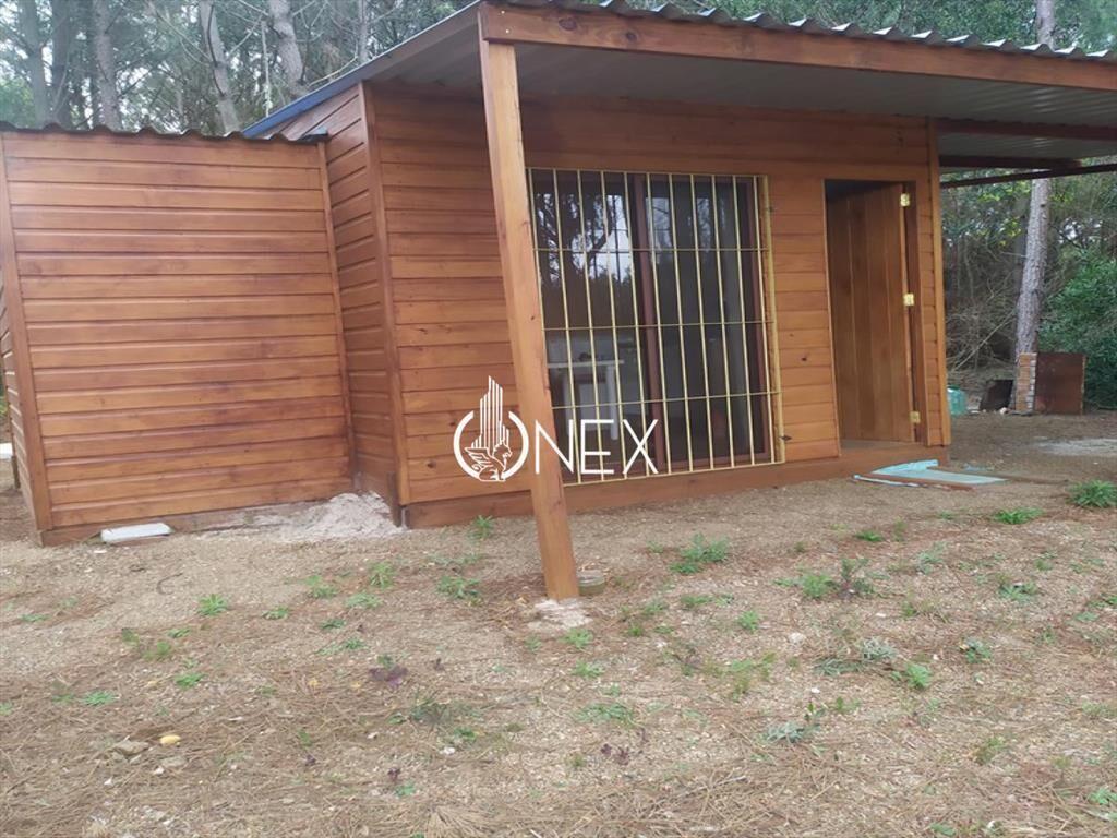 VENDO TERRENO GRANDE + CABAÑA GUAZUVIRÁ