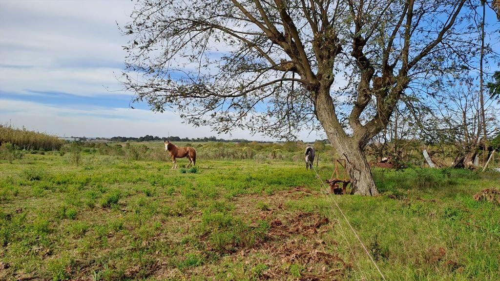 Fracción de chacra Ruta1 K15.500 4,5 hectáreas