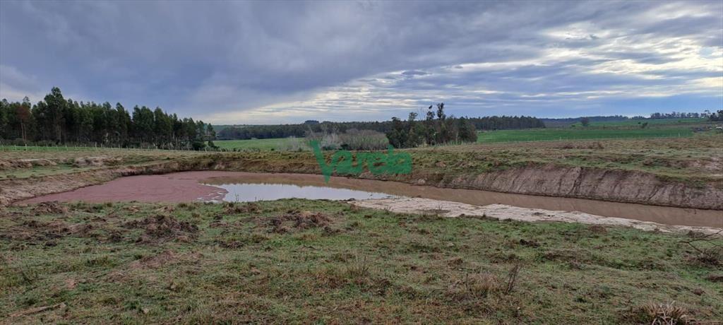 Venta de Chacra, Ruta 11, km.152, de 3,5 has. a