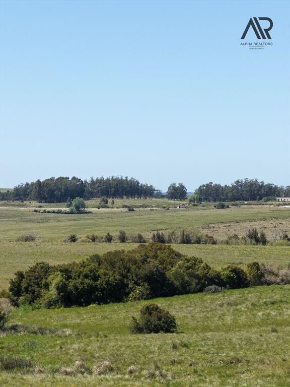 Chacra en venta de 3m2 ubicado en Ruta 9