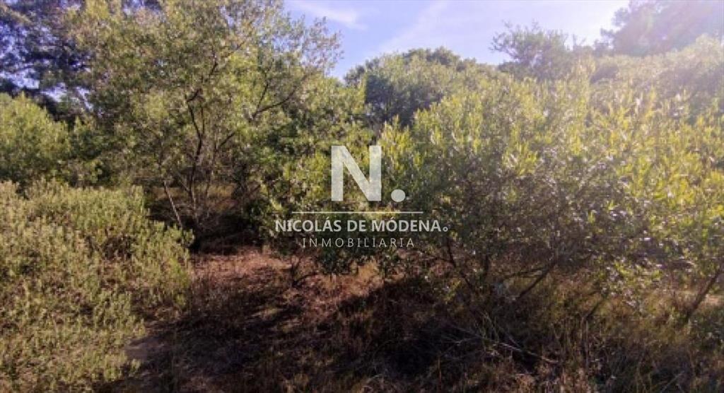Vende terreno en Club del Lago Punta Ballena