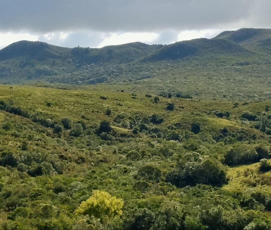 Chacra en Venta entre Ruta 12 y Ruta 60