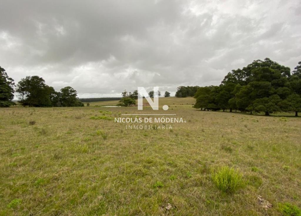Campo en Ruta 104, 20 hectáreas