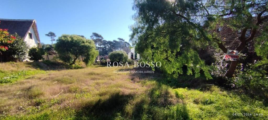 TERRENO PARA CONSTRUIR SU CASA EN ZONA DE DE