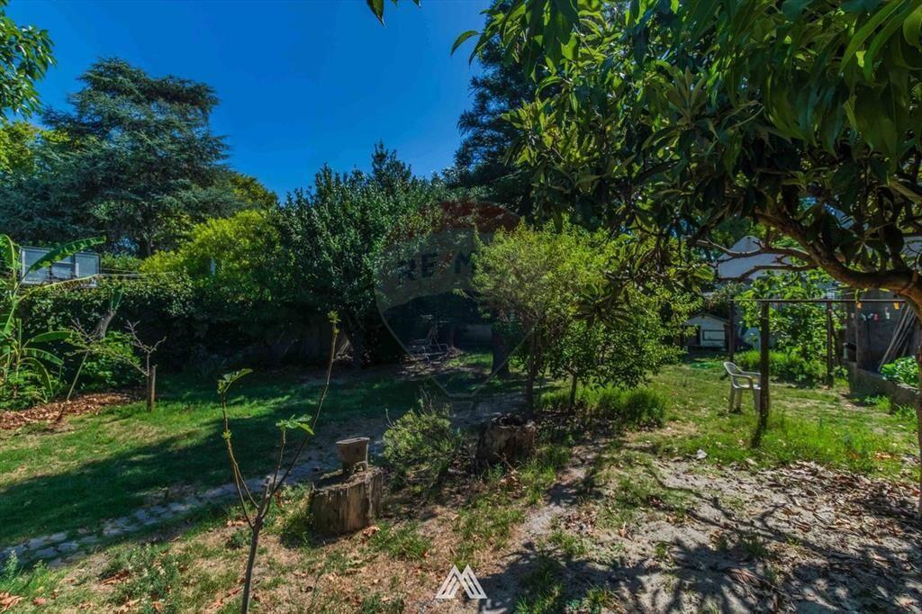 VENTA de terreno en Punta Gorda 750m2