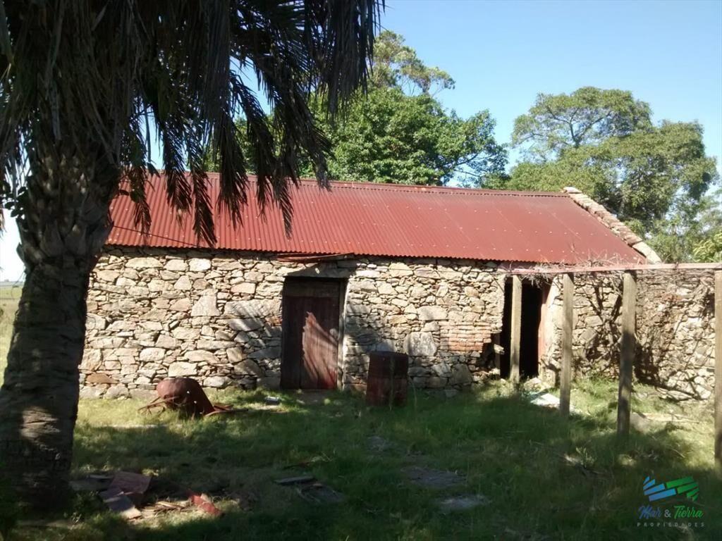 Pintoresco campo Ganadero muy bien ubicado.