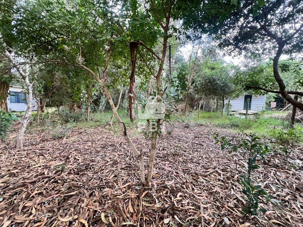 Lote en Punta Negra, Piriápolis - Ref : PBI2699