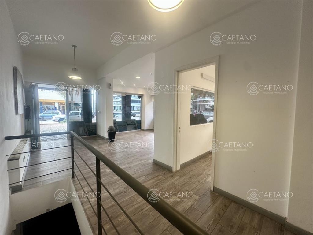 Alquiler anual, local comercial. Peninsula, Punta