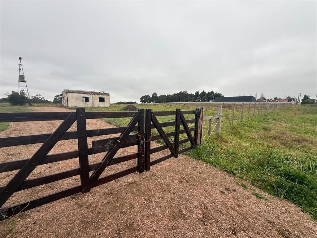 Venta Chacra Camino Gori 36400 metros