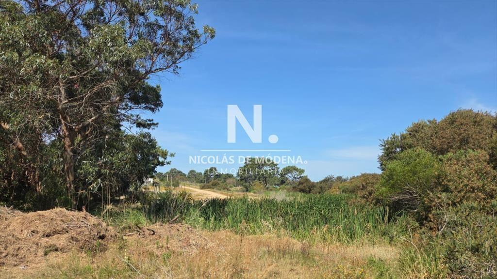 Vende terreno de 4223 m2 en Jose Ignacio