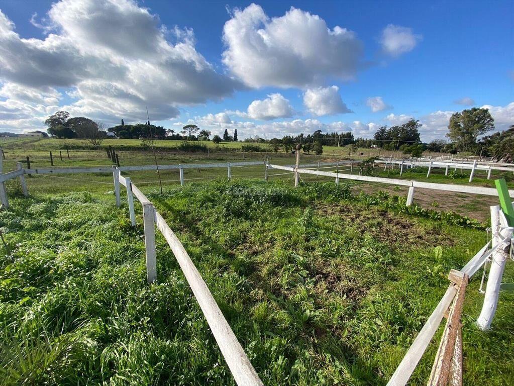 Venta de Centro Ecuestre de 6 ha I Montevideo