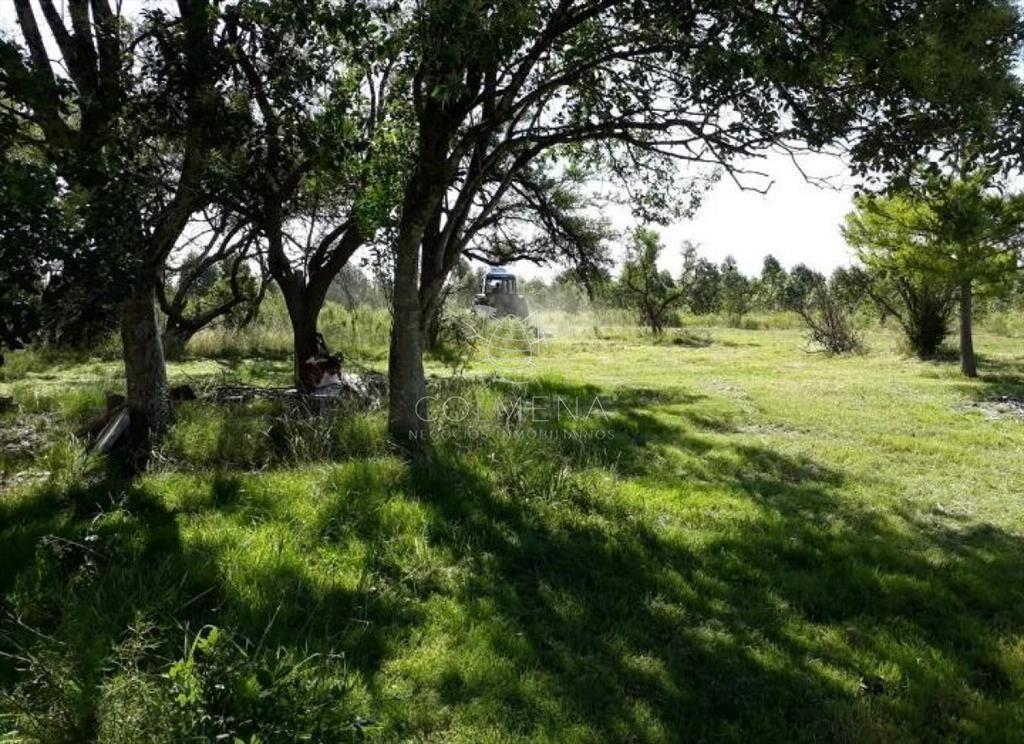 Excelente OPORTUNIDAD de inversión Campo 6,7Has