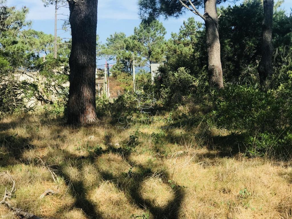 Venta terreno esquinero en Manantiales