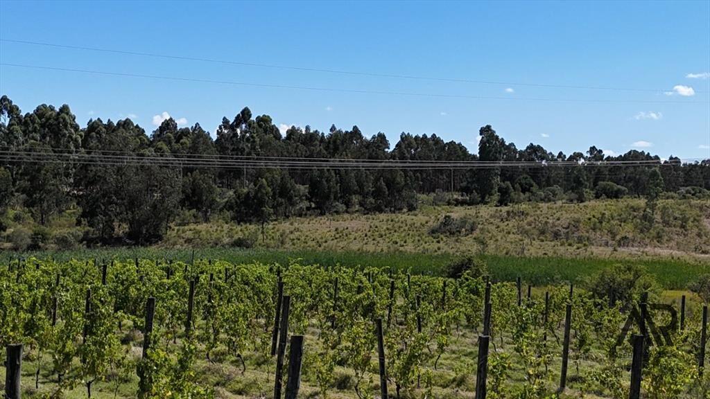 Campo en venta de 69ha ubicado en Atlántida