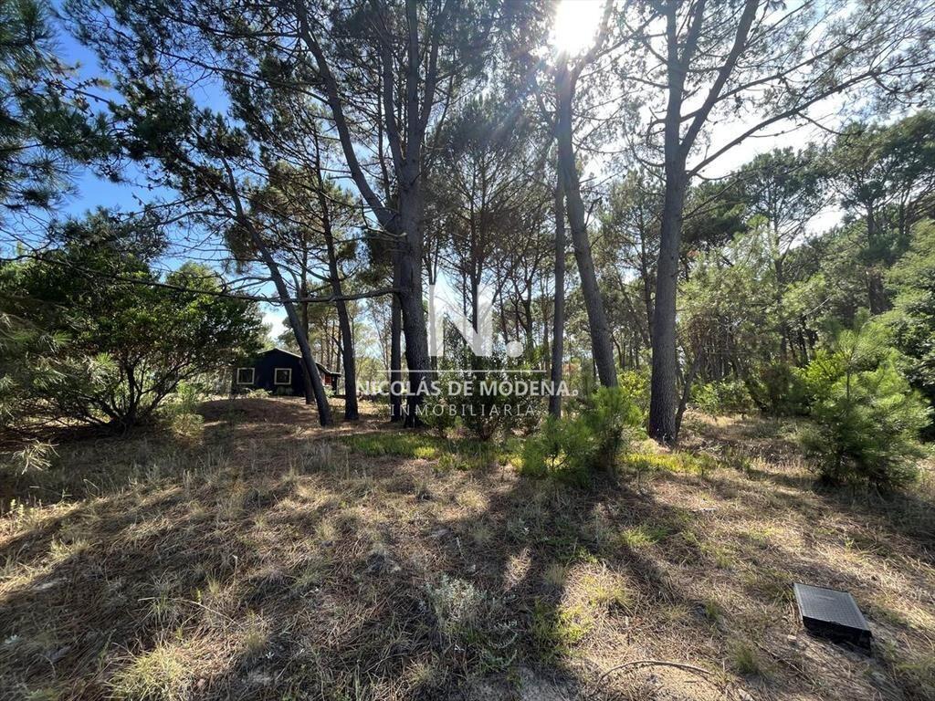 Terreno en venta en La Barra, rodeado de bellos