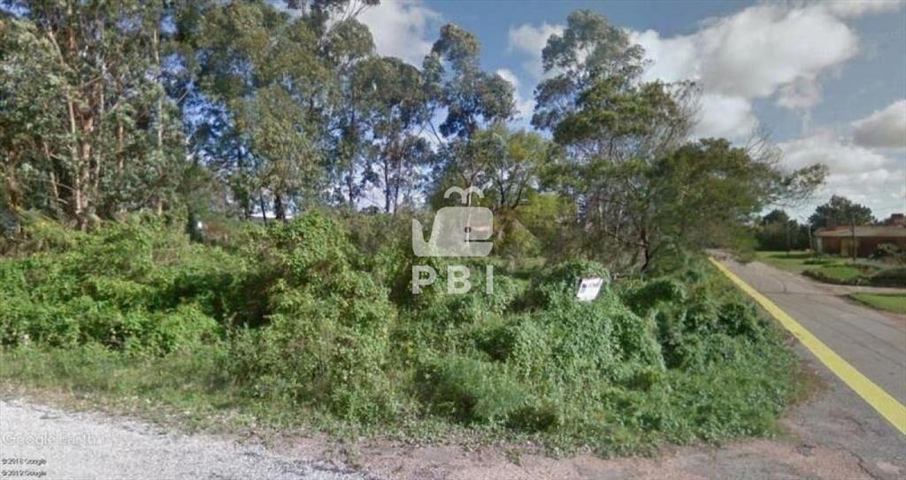 Terreno en venta Punta Ballena  - Ref : PBI1106