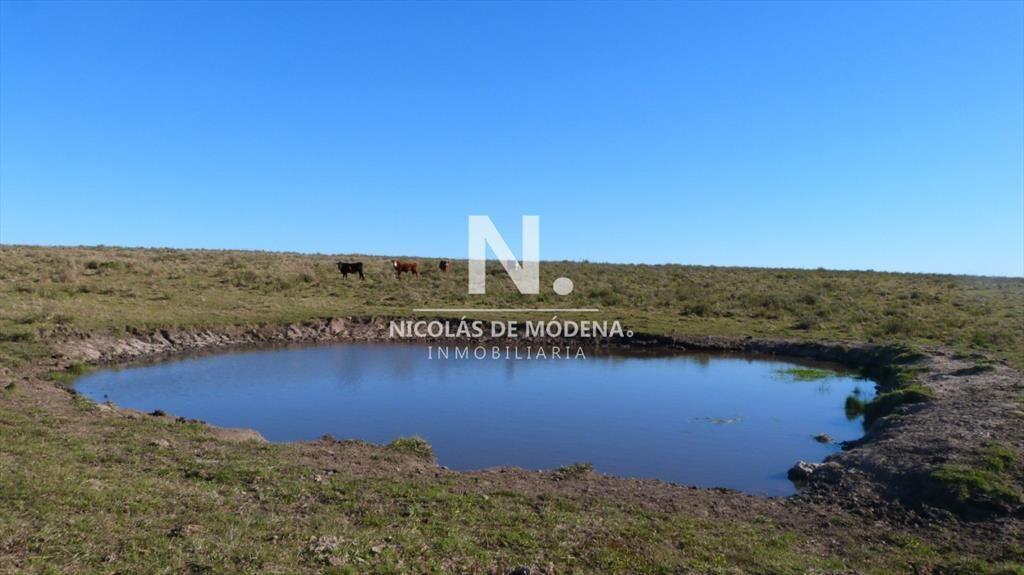 Chacra El sueño, oportunidad imperdible