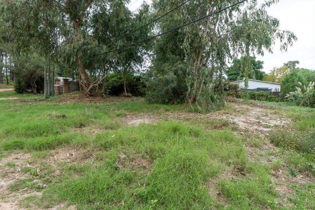 Venta terreno en El Pinar a metros Interbalnearia