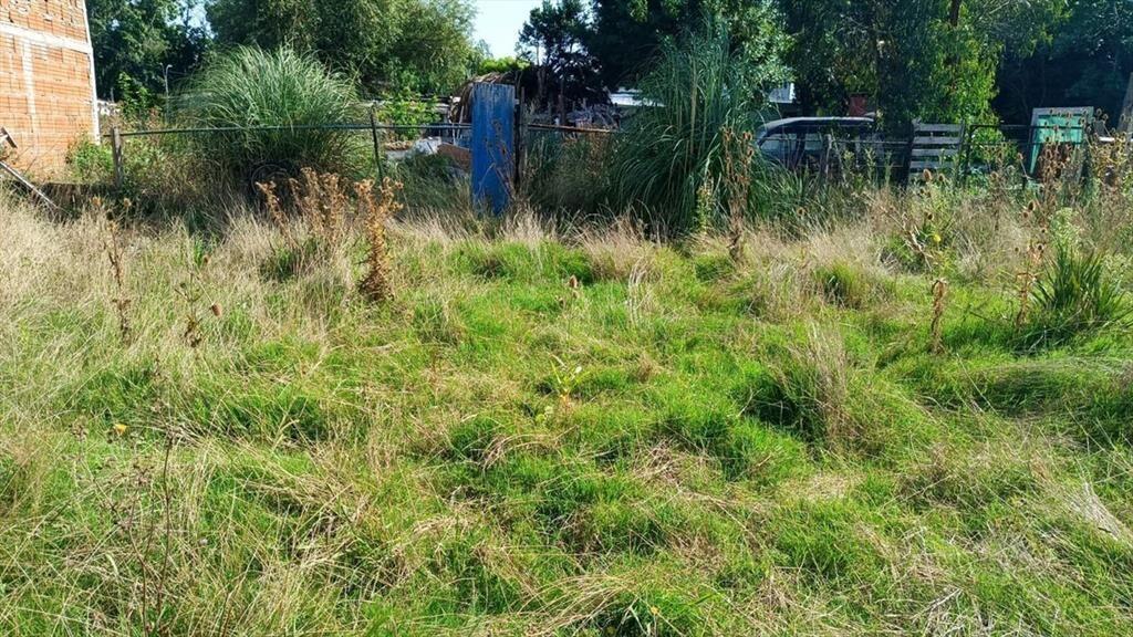 Venta de terreno con construcción en Empalme Olmos
