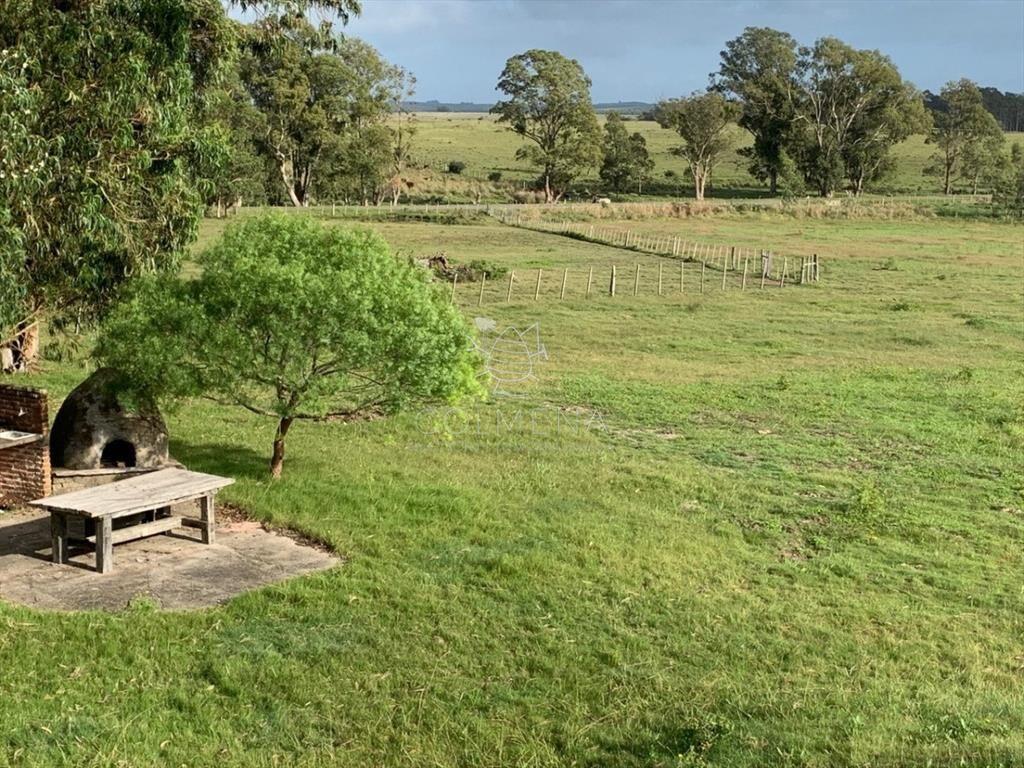 Campo excelente ubicacción, ideal plantar o