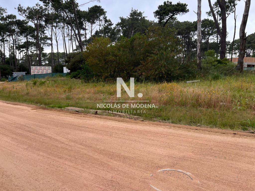 Vende terreno en Reserva Montoya.