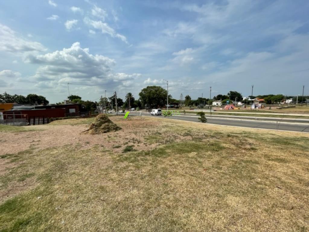 TERRENO DE 981 METROS SOBRE AVENIDA CIBILS PROX A CARLOS M
