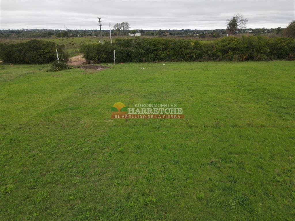 Terreno en Progreso, 360 m2 en Jardín de los (8)