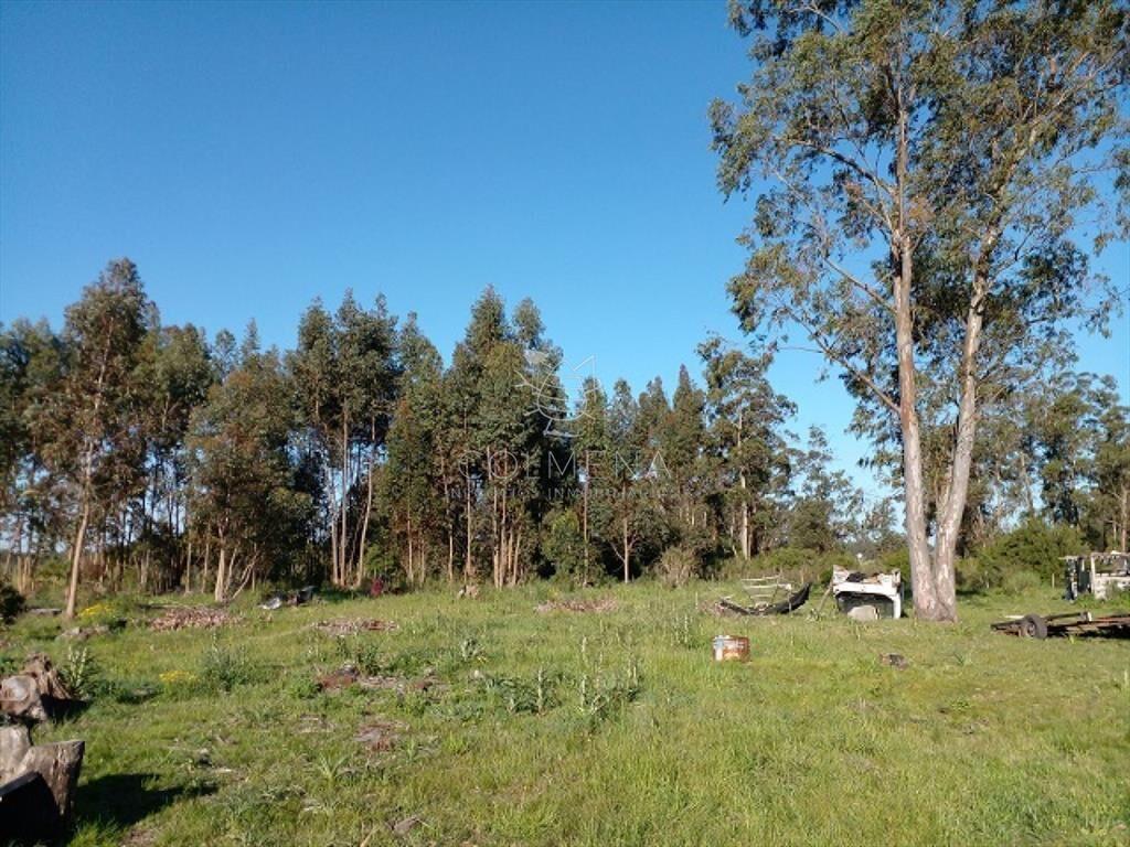 Chacra en La Pataia