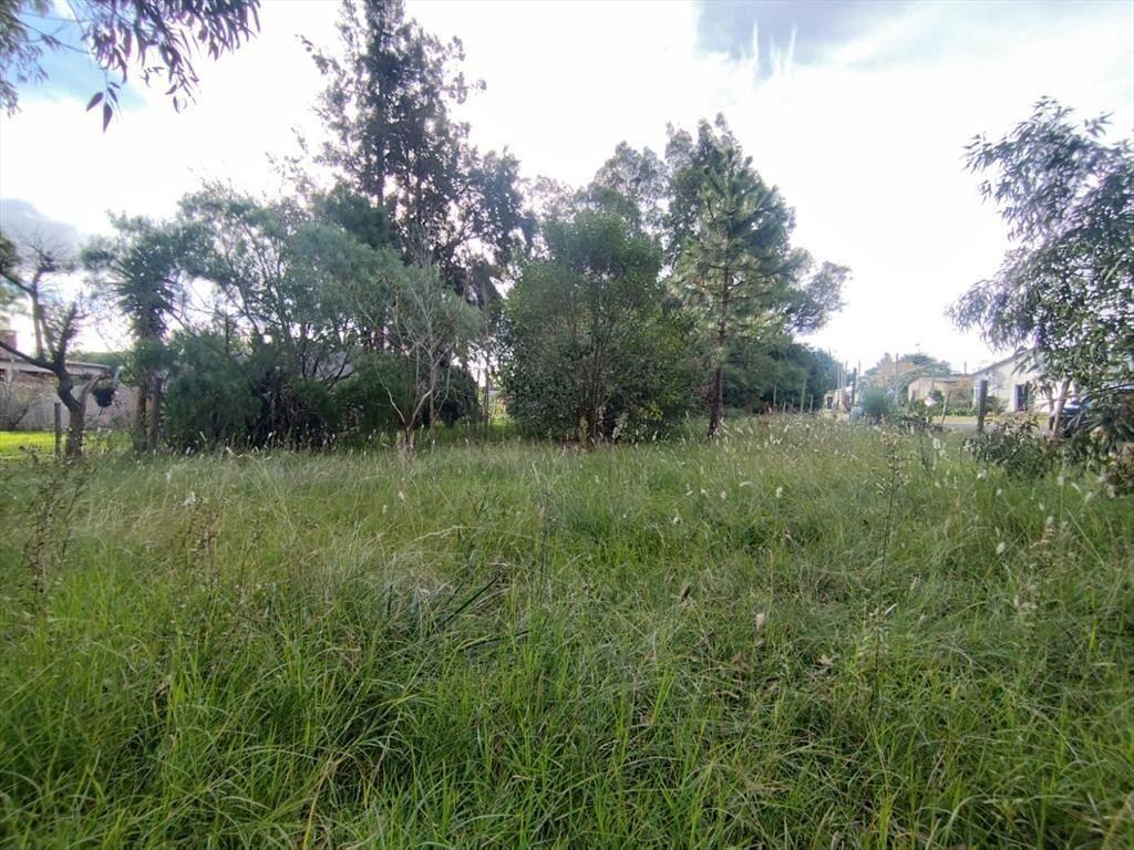Terreno en Los Pinos