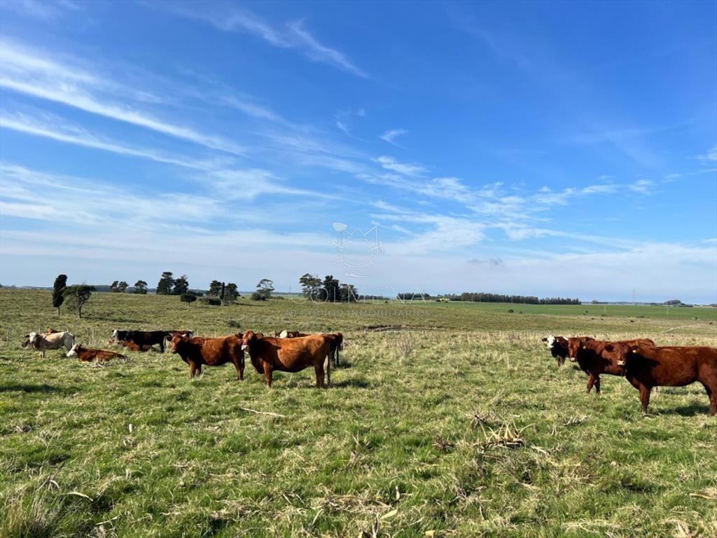 Campo 47 has cerca ruta nueve del lado al mar