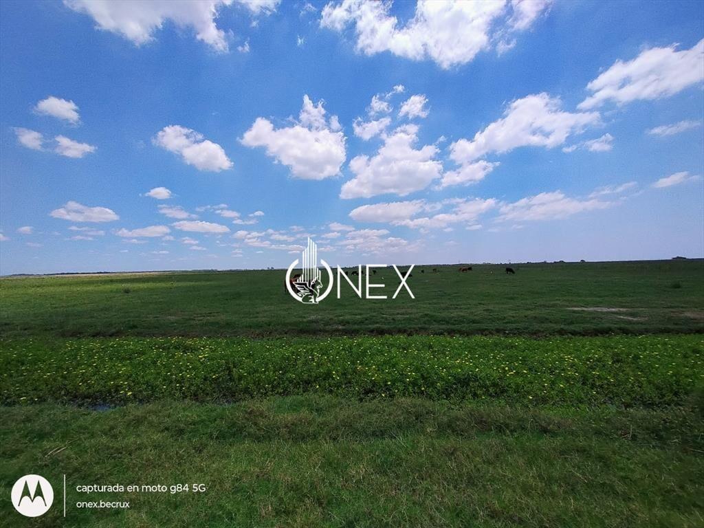 Oportunidad Venta de Campo agricola ganadero 576
