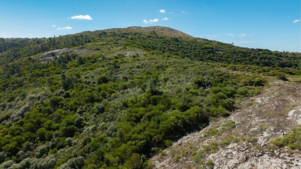 Campo en Venta en Sierra de las Ánimas, Ladera sur