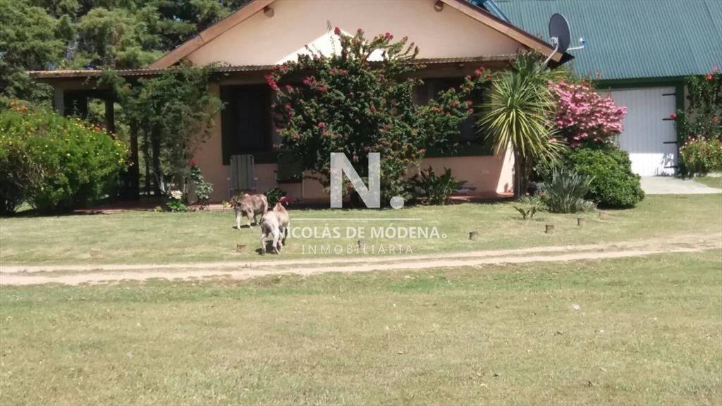 En venta chacra de 6hectareas en Jose Ignacio.