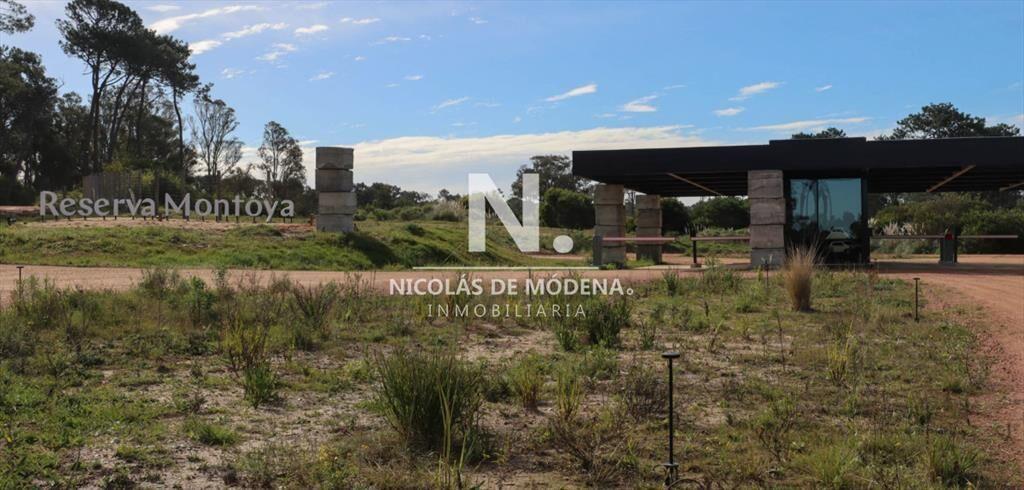 En venta, lote de 1126m2 en la Reserva Montoya,
