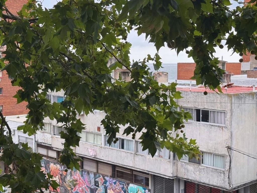 Apartamento 2 Dormitorios con Renta en Barrio Sur