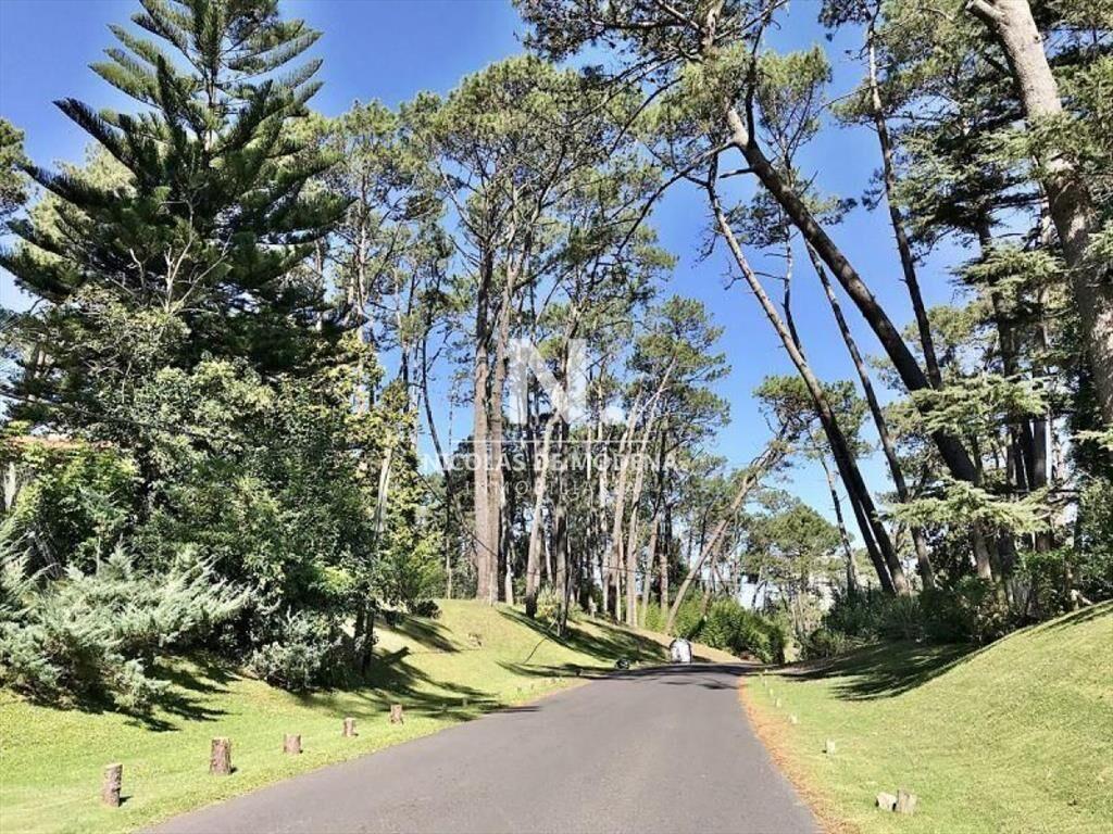 Terreno en venta Cantegril