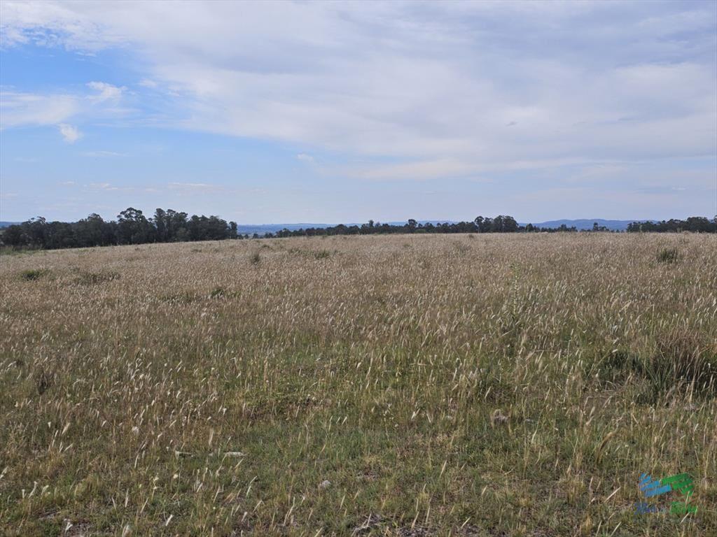 En venta chacra 3 hectareas, proxima ruta 39, a