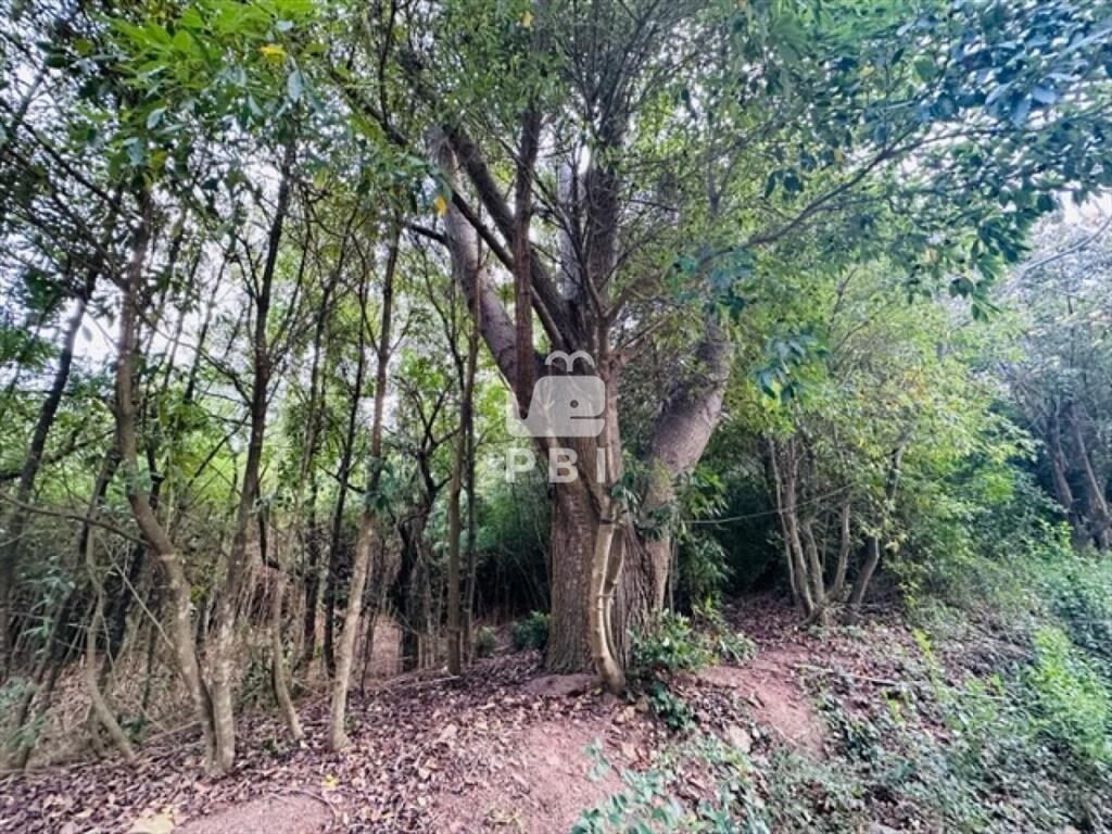 Terreno en Punta Ballena, Santa Hilda. - Ref :