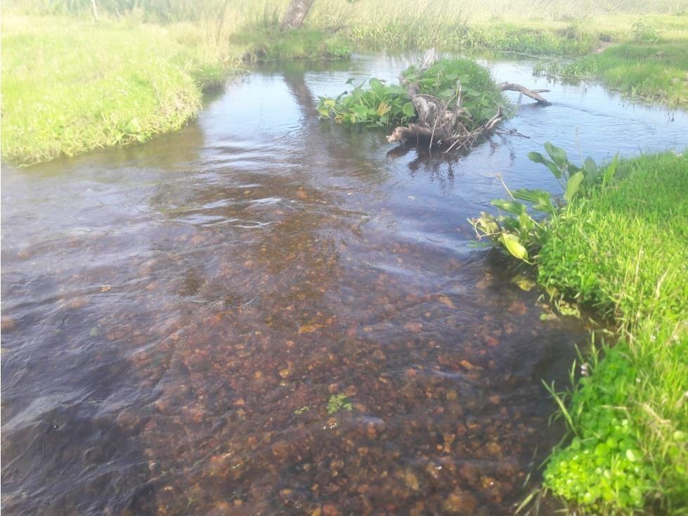 AL1086/P venta campo 53 hectareas en Estacion Solis Minas La