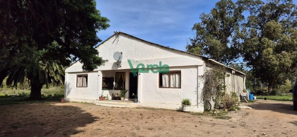 Venta de Chacra de 6 hectareas en Santa Lucia del