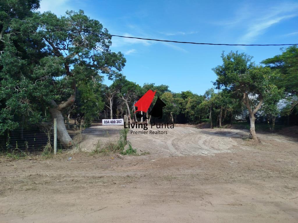 Hermoso terreno