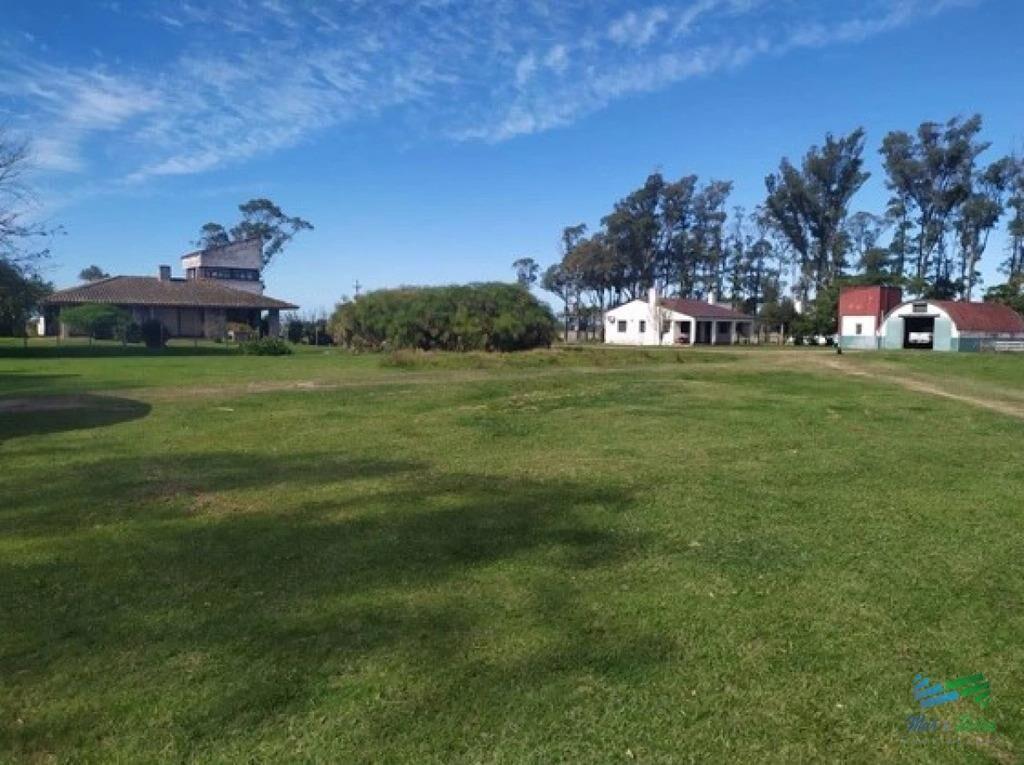 Campo Arrocero-Ganadero 1.636 Has sobre Ruta