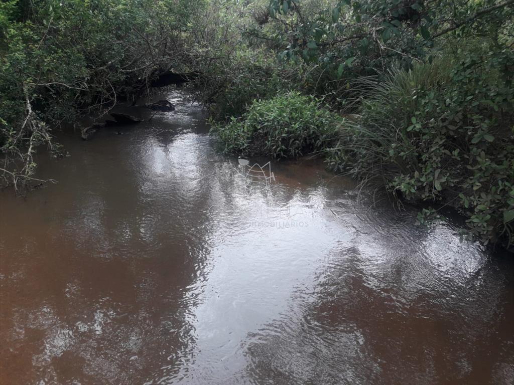 Campo de 5 has con 5891 m2