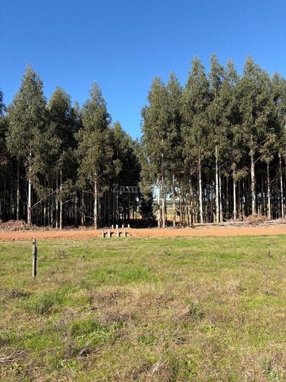 Venta Campo Durazno