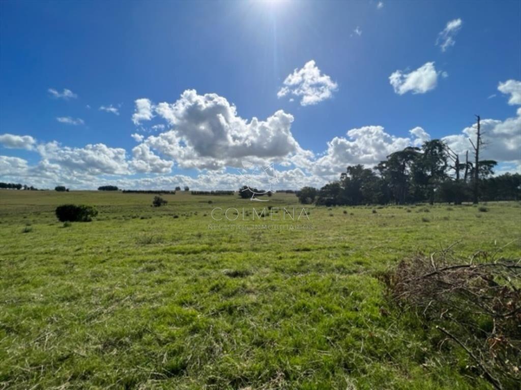Campo 5 has con 2473 m2 sobre ruta 9