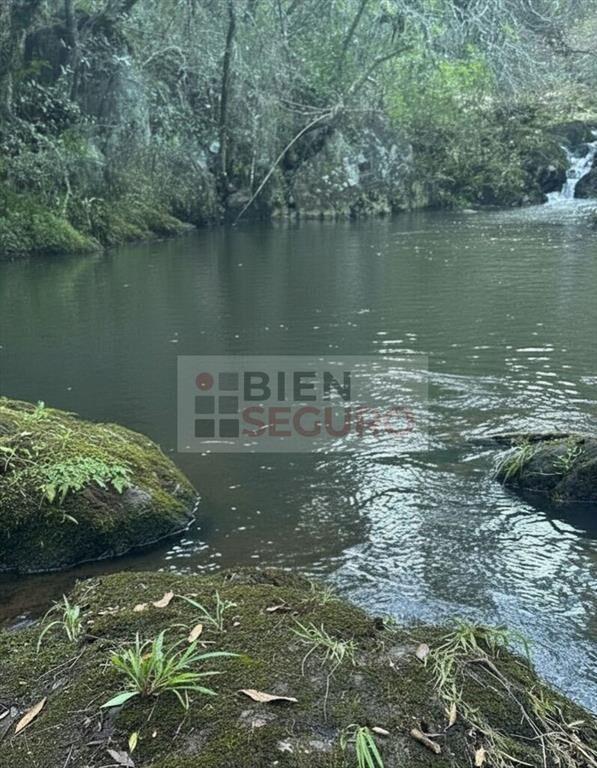 Hermosa chacra con construcciones, monte nativo y cascada,
