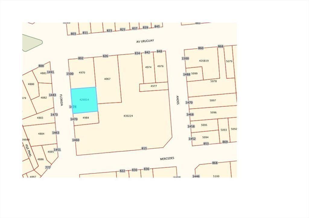 FLORIDA .467 MTS TERRENO. 21 MTS FRENTE., CENTRO SUR