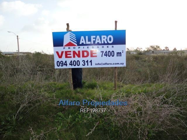 ALTURA ACTUALIZADO JUNIO 2026. GALPON IDEAL EDIFICIO DE ALT