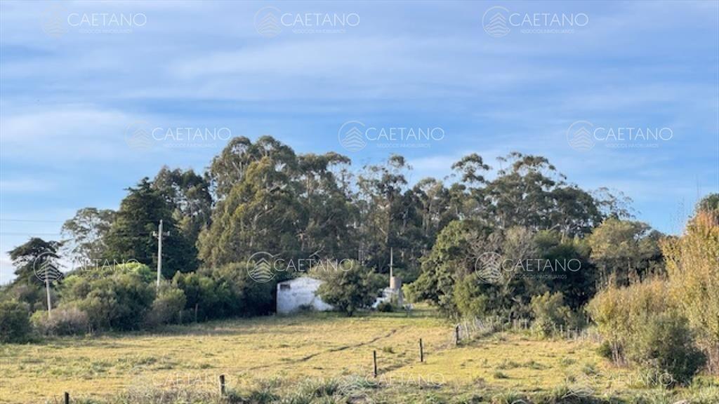 Campo de 4 has 1602 m2 muy cerca de ruta 12 y la